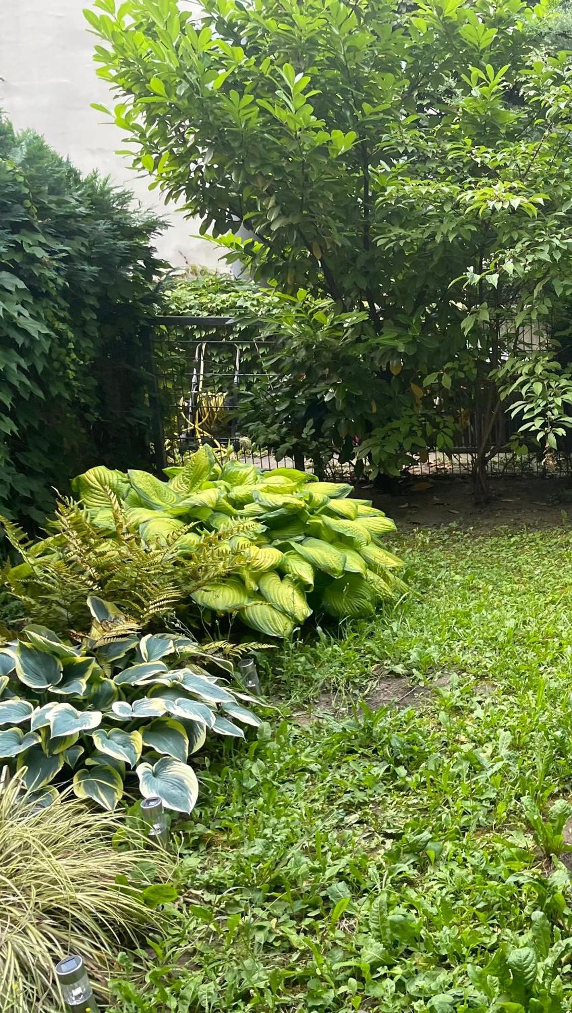 Apartment Mit Logia Und Kleinen Garten In Zentraler Lage 2 Vienna Luaran gambar